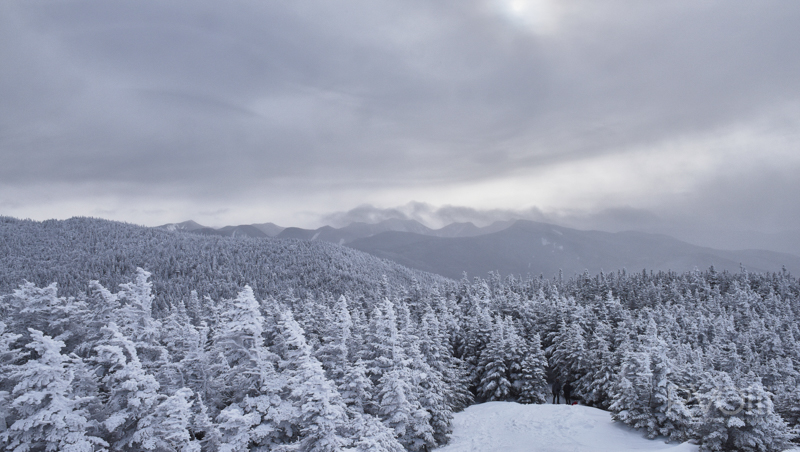 stock, winter, landscape